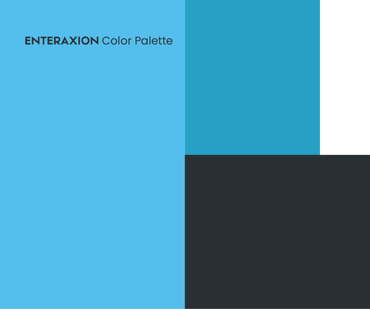 Enteraxion a software development firm Color Palette Image