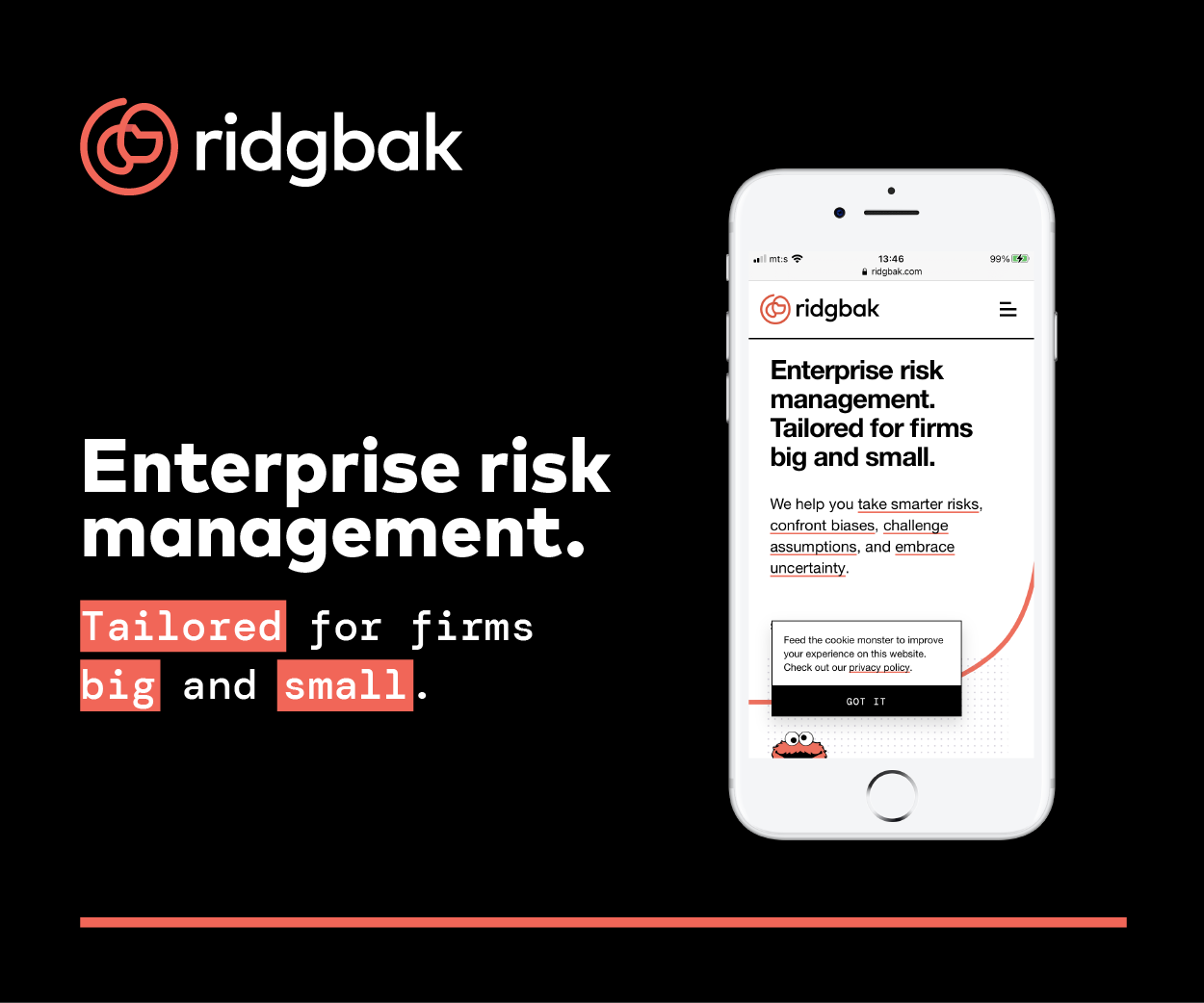 Ridgbak - enterprise risk management company Logo Design Image