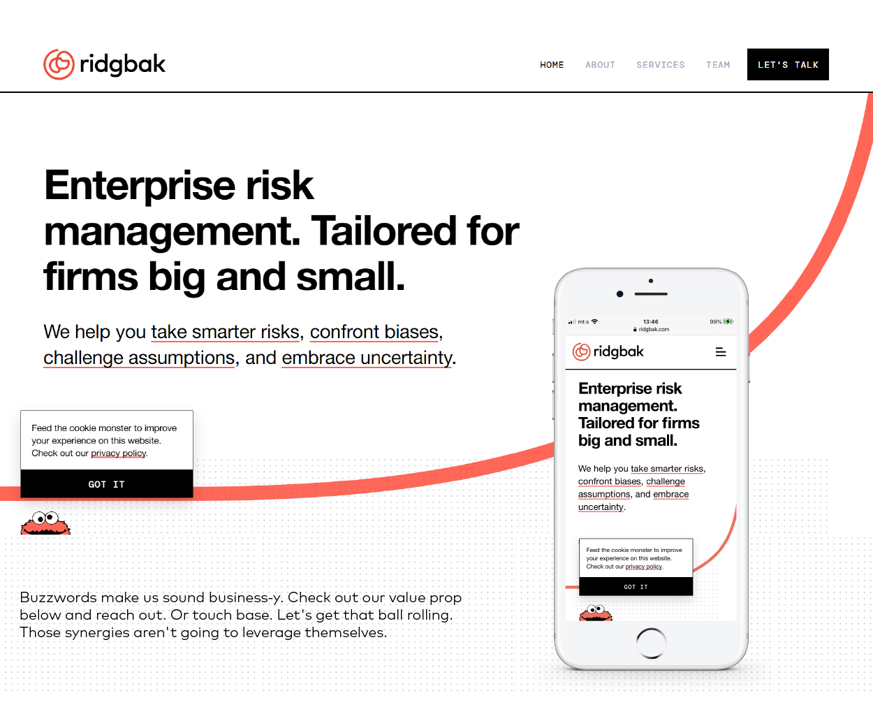 Ridgbak - enterprise risk management company Logo on Website Image