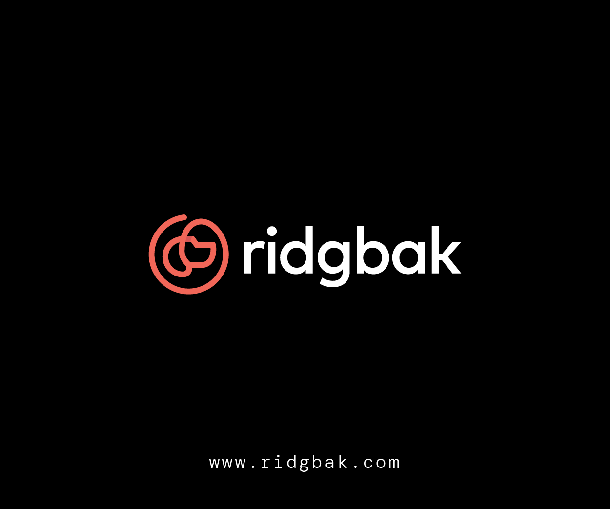 Ridgbak - enterprise risk management company Logo Design Image